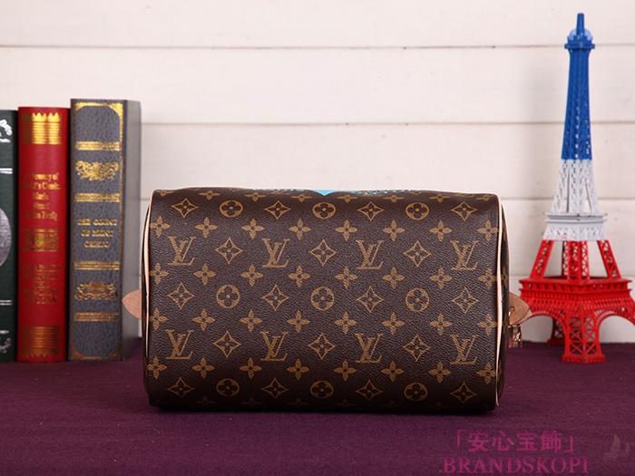 LOUIS VUITTON ルイヴィトン スピーディ30 ハンドバッグ ハンドバッグ テュルコワーズ モノグラム M41529