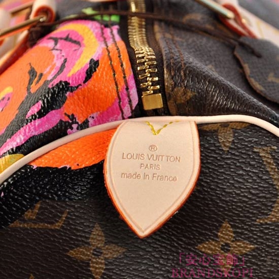 LOUIS VUITTON ルイヴィトン スピーディ30 M48610 