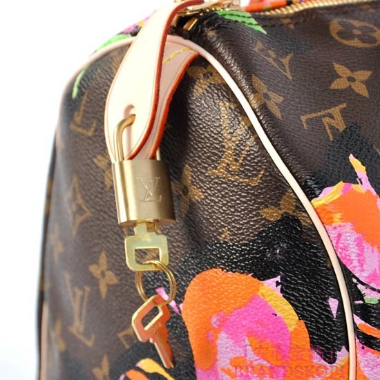LOUIS VUITTON ルイヴィトン スピーディ30 M48610 